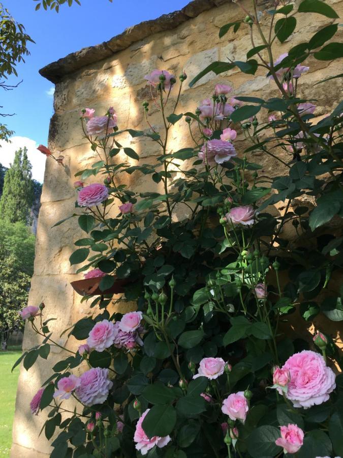 Par La Riviere Bed and Breakfast La Roque-Gageac Εξωτερικό φωτογραφία